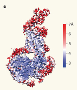 GPCR fig