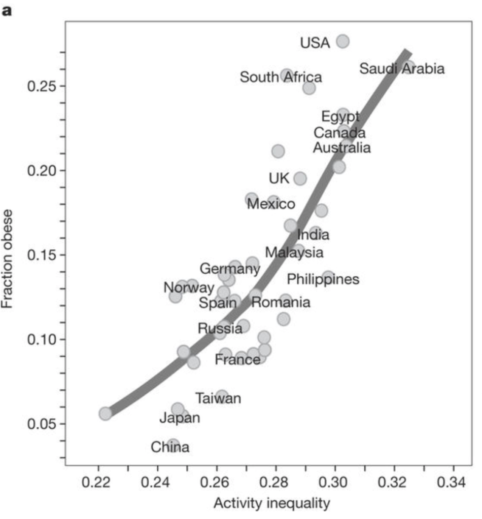 obésite:indice de Gini fig.3 200817