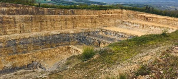 Colline du Mormont: les orchidées contre le ciment